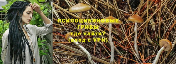 амф Балабаново