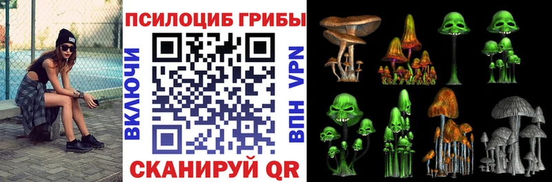 Псилоцибиновые грибы Psilocybe  Нурлат 